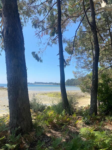 Praia de Piñeiro
