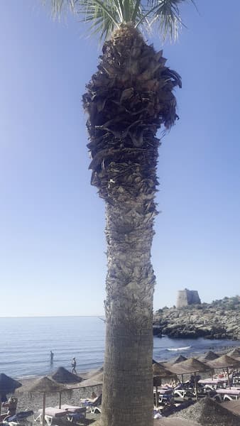 Playa del Pozuelo