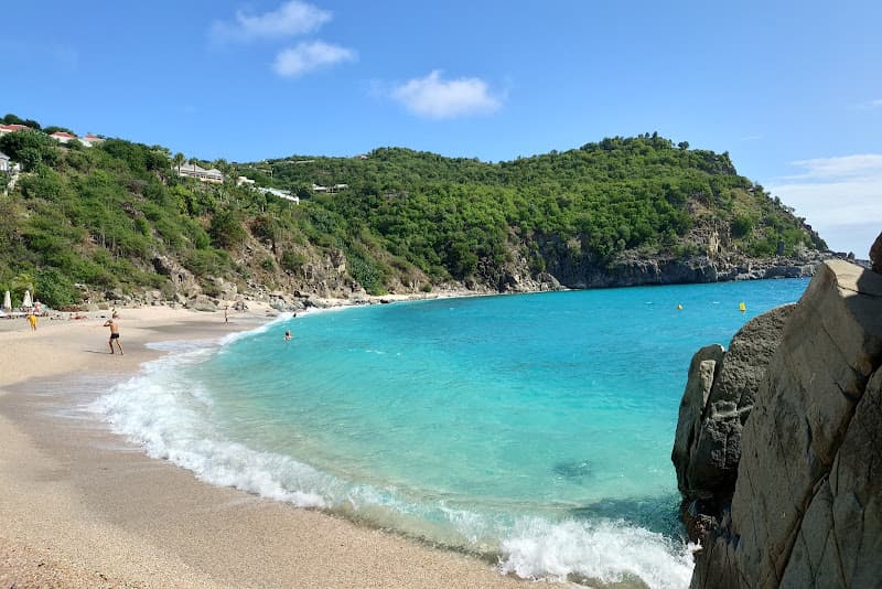 Shell Beach