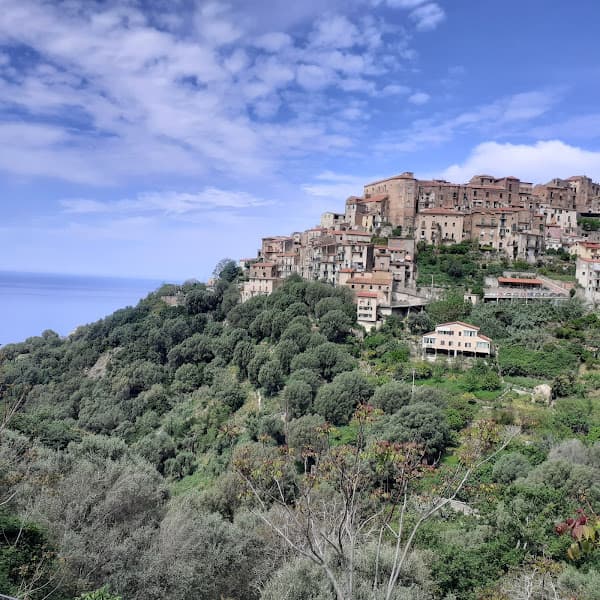 Pietracciaio