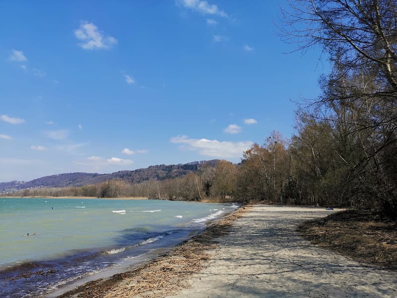 Plage de la petite Amérique