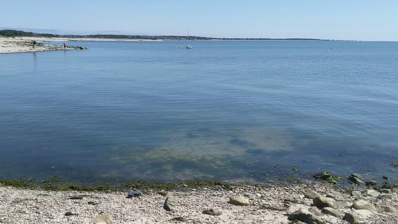 Forest Beach