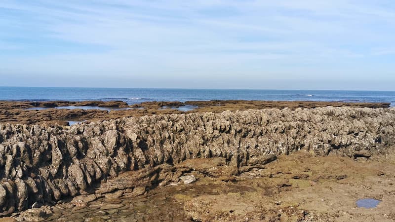 Playa de Los Corrales