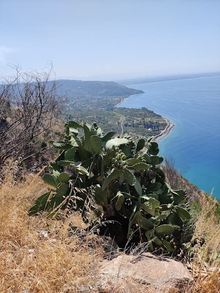 Spiaggia Spinoso