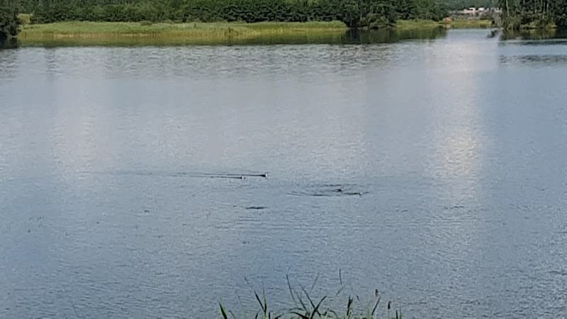 Plaża nudystów