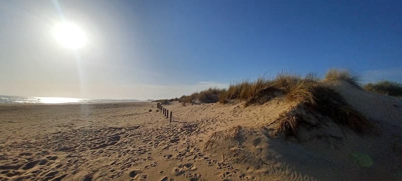 Playa del Hoyo