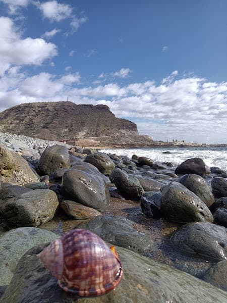 Playa de Tauro