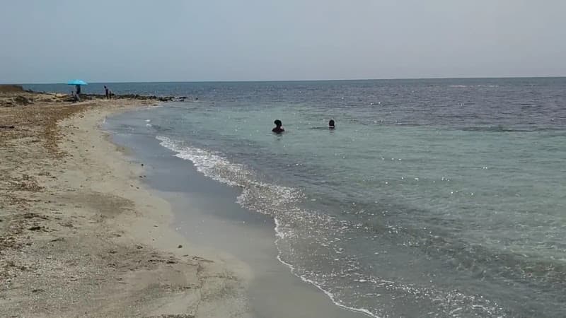 Cala di Torre Mozza