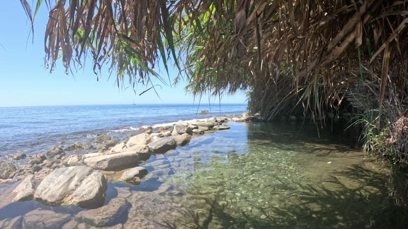 Playa del Molino