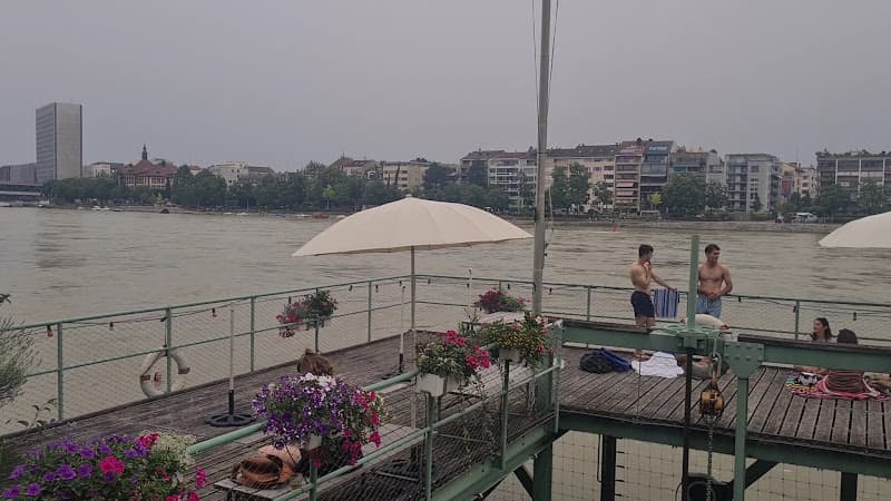 Basler Rheinschwimmen