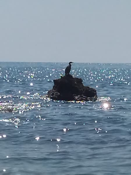Platja del Triador