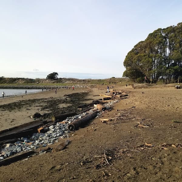 Albany Beach