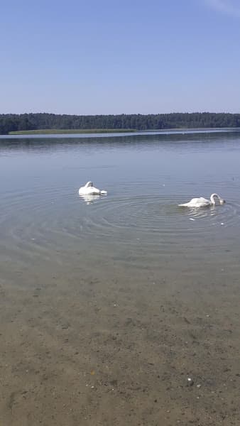 Plage RU-EU
