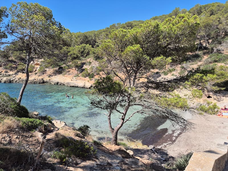 Cala des Falcó