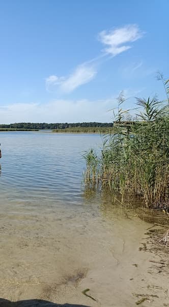 Plaża Prądocin