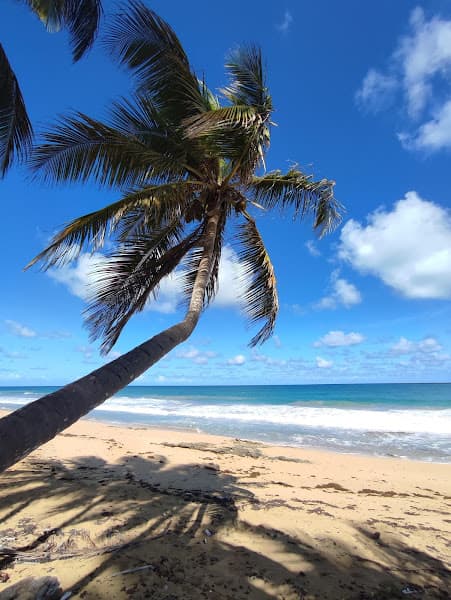 Playa de la Barbacoa