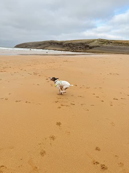 Playa de Antuerta