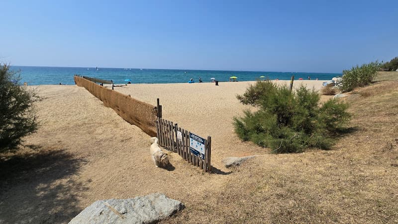 Platja gossos