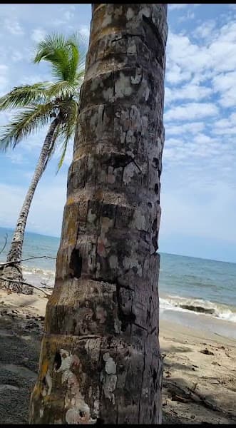 Playa Moín