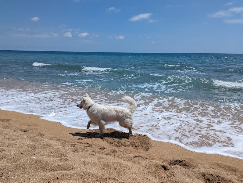 Platja del Barranquet