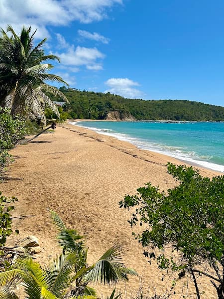 Playa Cocal