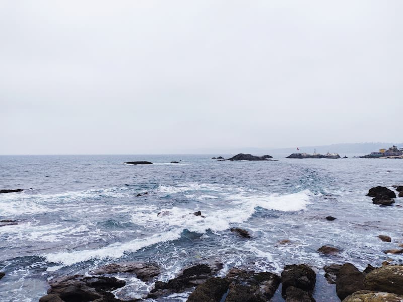 Playa Larga de Horcón