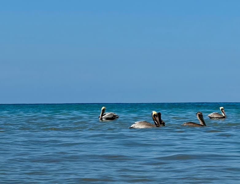 Playa La Vaca