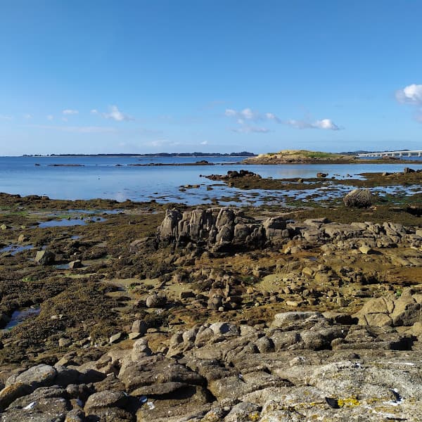Praia de Xastelas