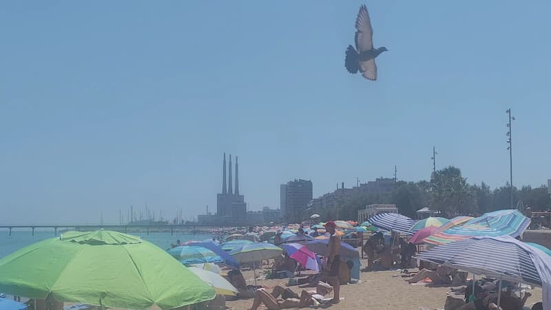 Platja de l'Estació