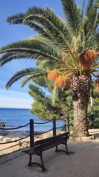 Plage d'Eden Roc