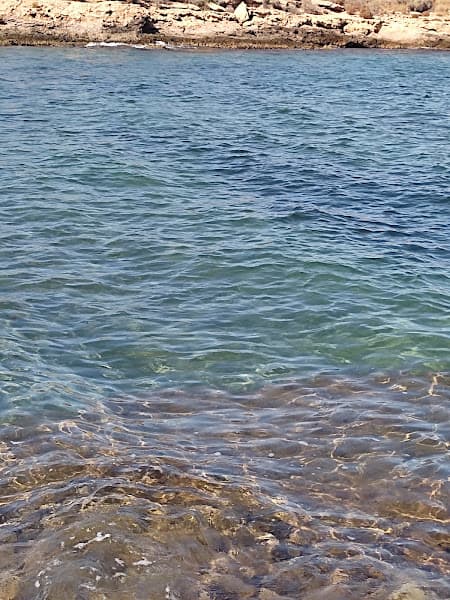 Playa del Pocico del Animal