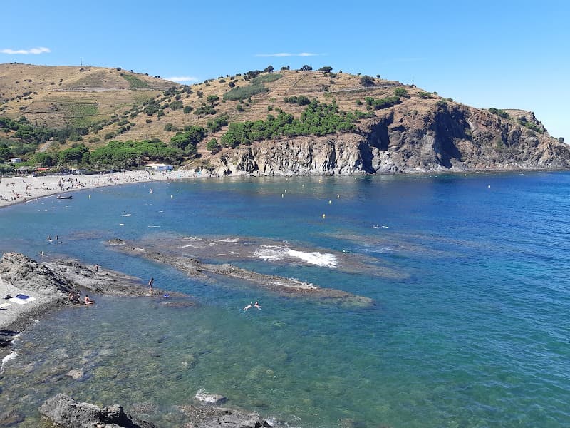 Crique de Peyrefite