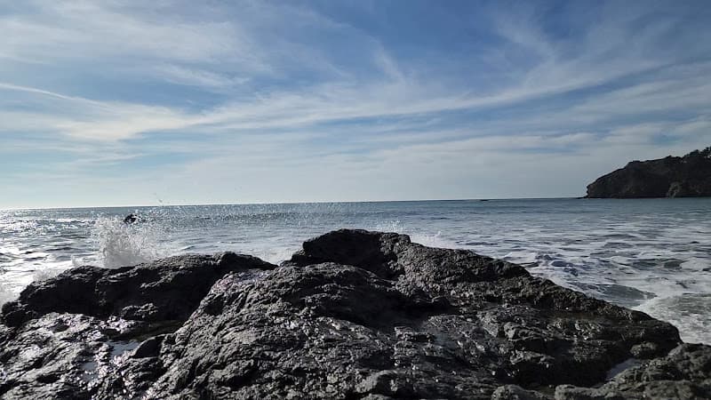 Pirates Cove