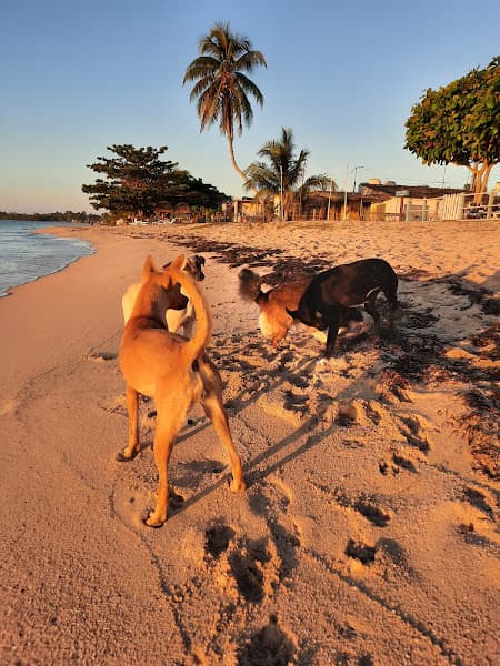Playa Larga