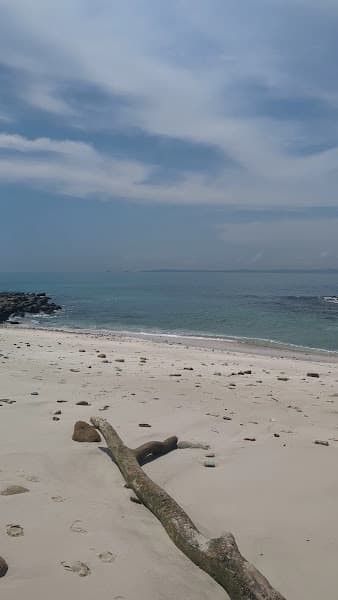 Playa de las Suecas