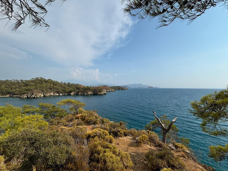 Katranci