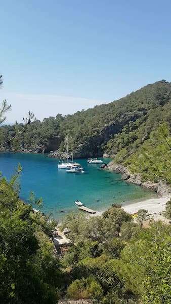 Soğuk Su Koyu