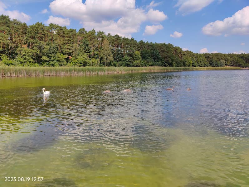 Plaża Piecki