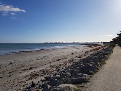 Plage du port