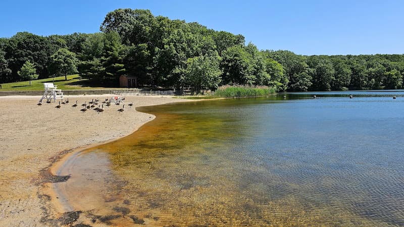 Hooks Creek Lake Beach