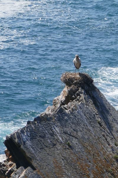 Praia da Baía da Arquinha