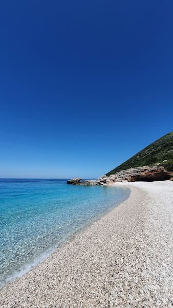 Plazhi i Palasës