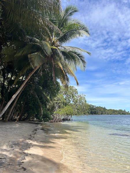 Playa Carenero