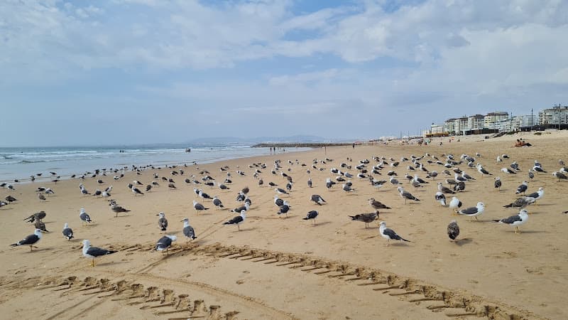 Nova Praia