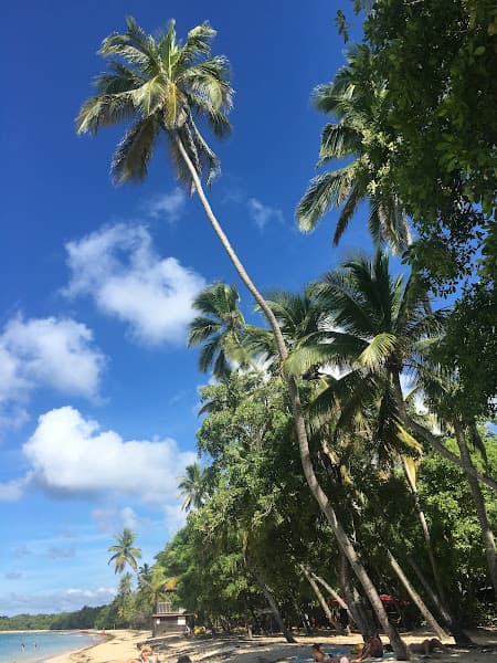 Plage de Sainte-Anne-du-Portzic