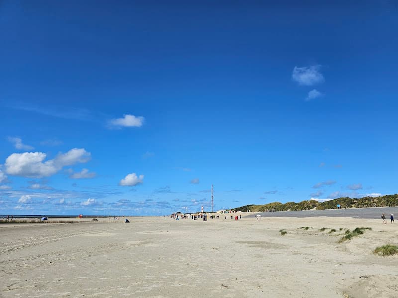 Hundestrand