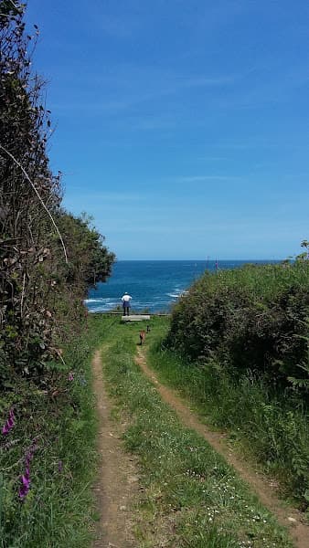 Playa del Figo