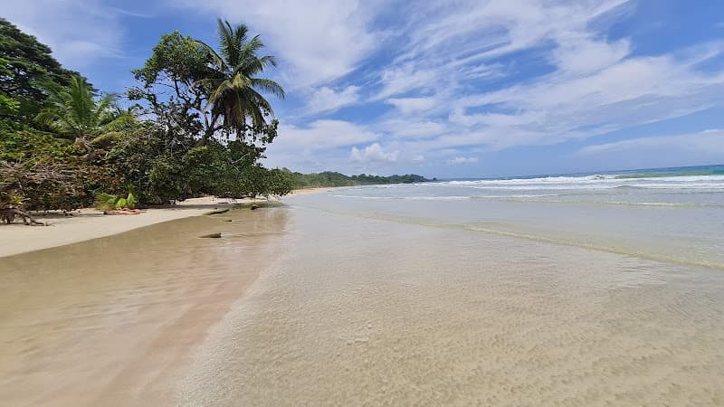 Red Frog Beach (Oophaga pumilio Beach)