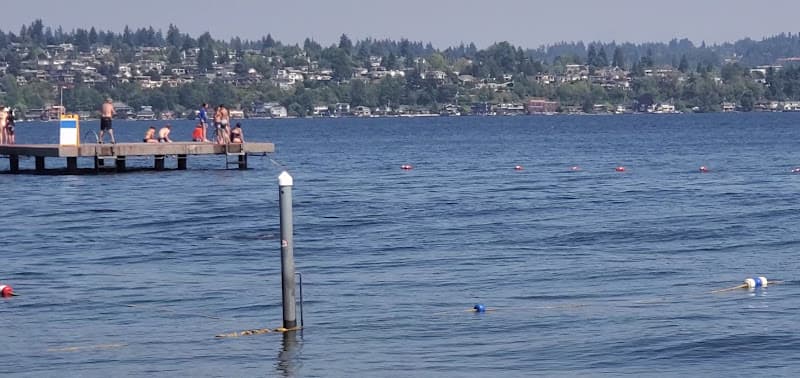 Swim Area