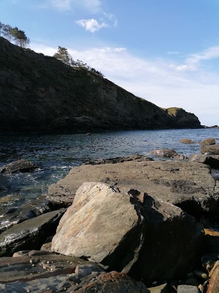 Playa de Monellos